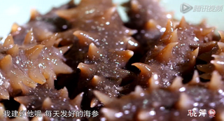 海參進(jìn)補(bǔ)從娃娃抓起，兒童吃海參的好處！