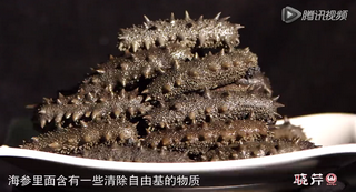 孝敬父母，為何首選海參？